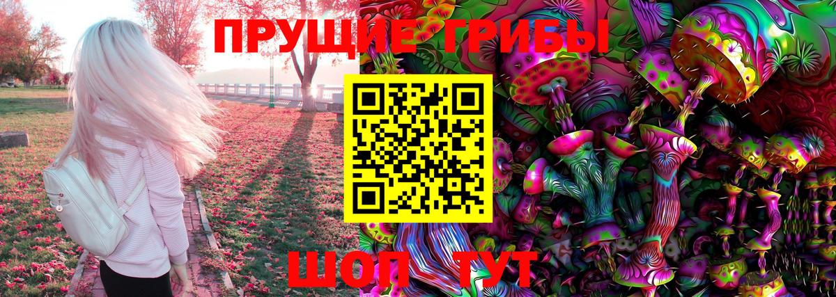 Псилоцибиновые грибы Psilocybe  закладка  Ессентуки  Вход с VPN 