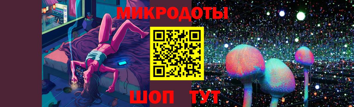 Псилоцибиновые грибы Psilocybine cubensis Ессентуки